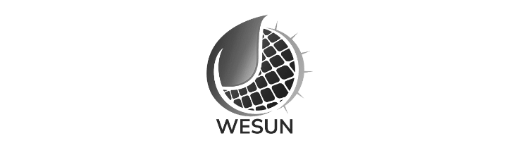 wesun